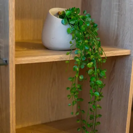 Marin 公寓 斯普利特