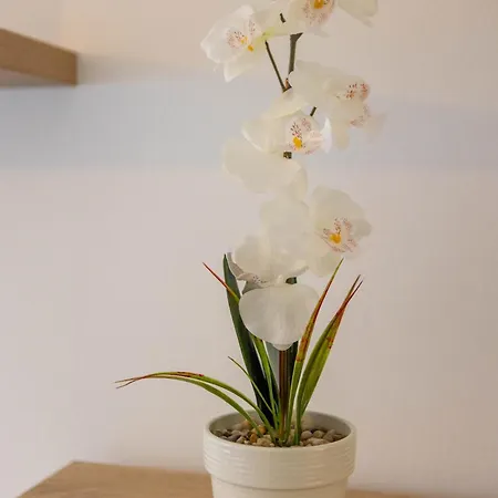 Marin * 斯普利特