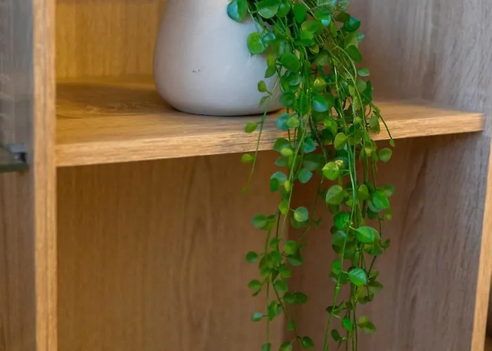 Marin Apartament Split